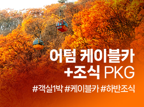 패키지 상품 이미지