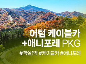 패키지 상품 이미지