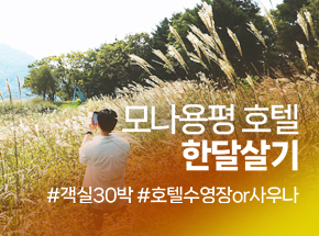 패키지 상품 이미지