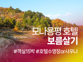 패키지 상품 이미지