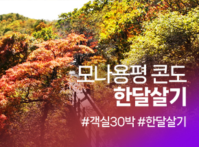 모나용평 콘도 한달살기 관련 이미지