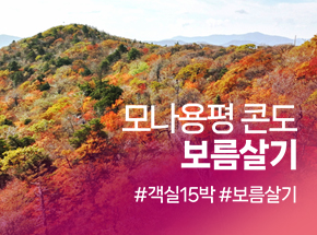 패키지 상품 이미지