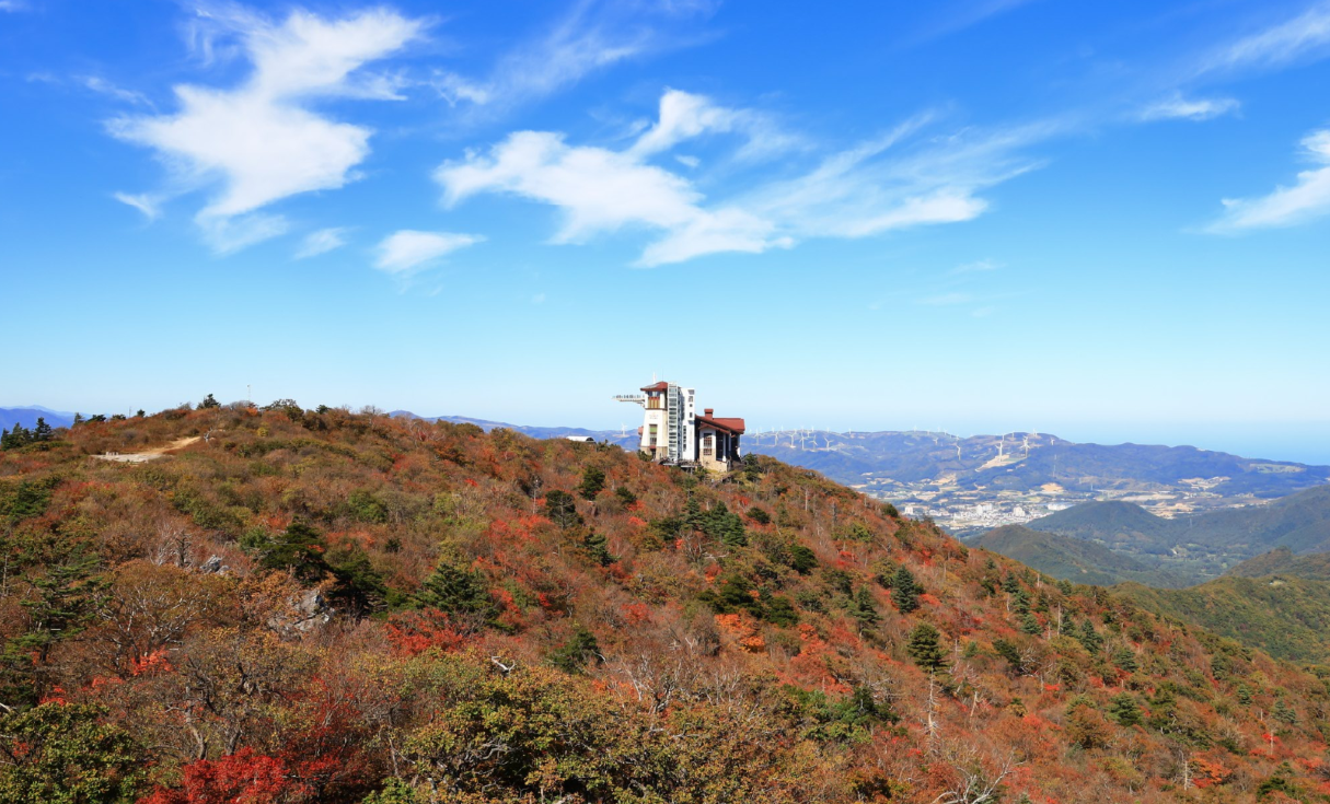 가을의 절정, 해발 1458m 발왕산 단풍 풍경 관련 이미지