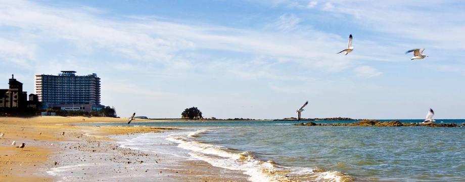 Image of Beache Palace Resort