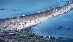 Image of Muchangpo Sea Parting