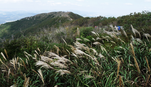 Image of Mt. Oseo