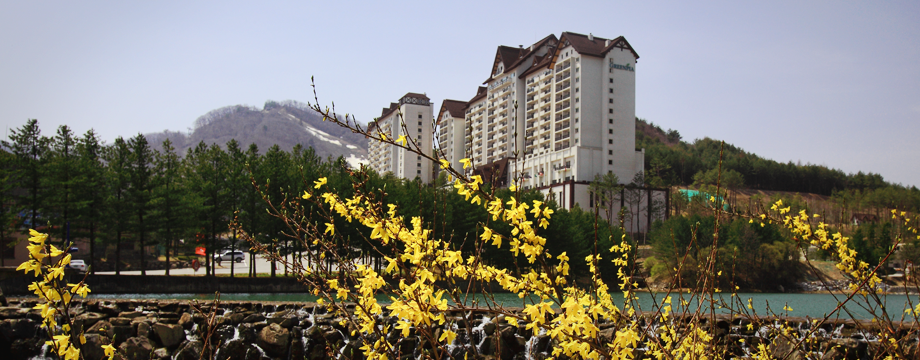 Image of Yongpyong Resort