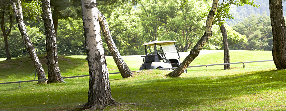 Golf in Yongpyong