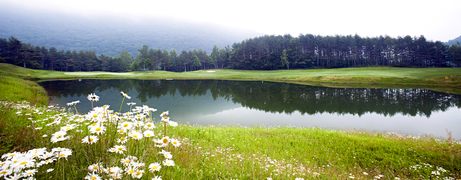 Golf in Yongpyong