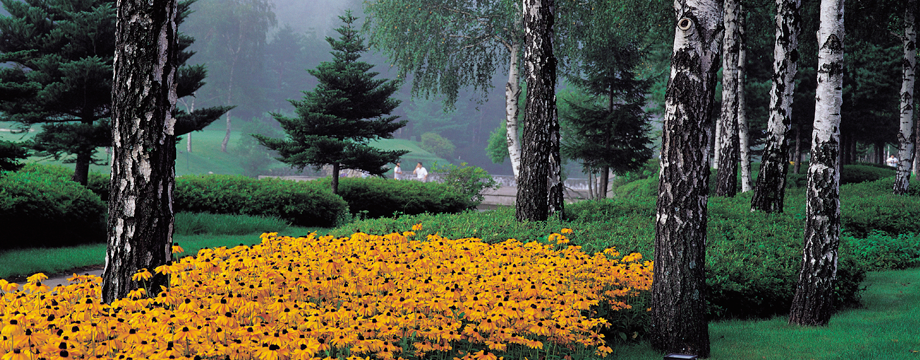 Spring in Yongpyong