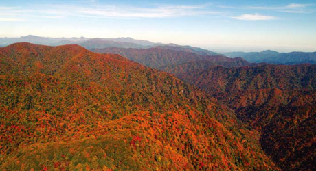 Image of Mt. Oh-Dae National Park