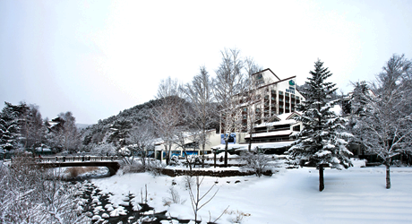 Image of The companion of love – The walkway between Yongpyong Condos