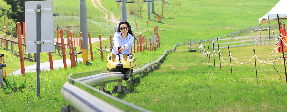 Image of Mountain Coaster