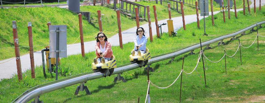 Image of Mountain Coaster