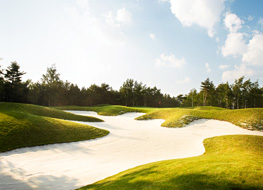 Image of Yongpyong birchhill Golf Club