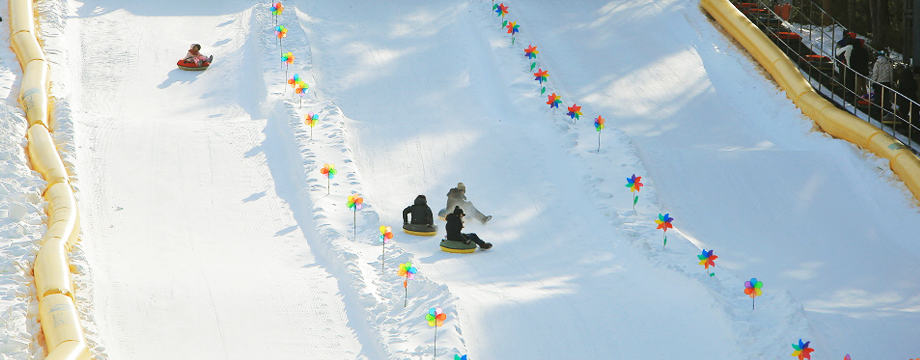 Image of Winter Sledding Slope
