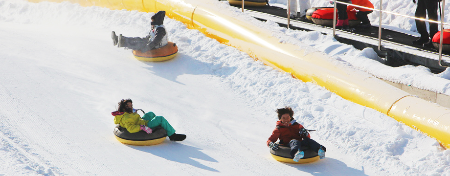 Image of Winter Sledding Slope