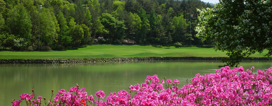 Golf in Yongpyong