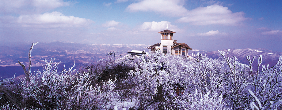 Winter in Yongpyong