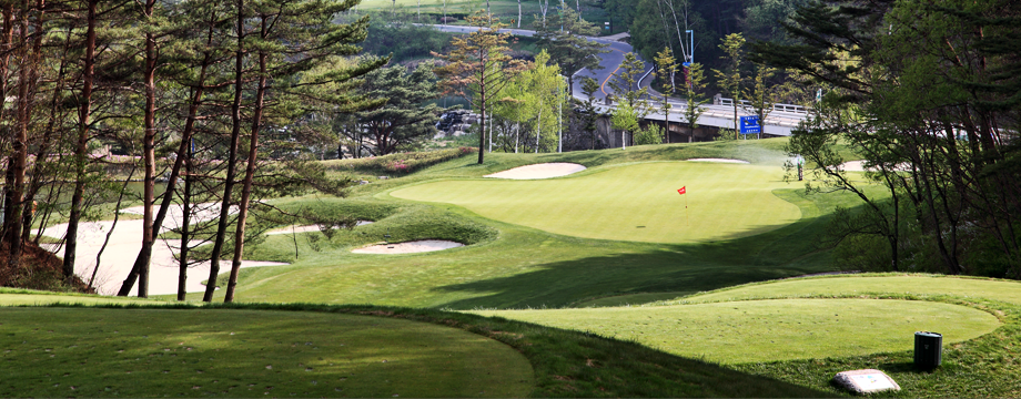 Birch hill Country Club Birch Course HOLE 2 : PAR 4 HDCP 2