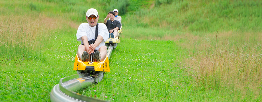 Image of Mountain Coaster