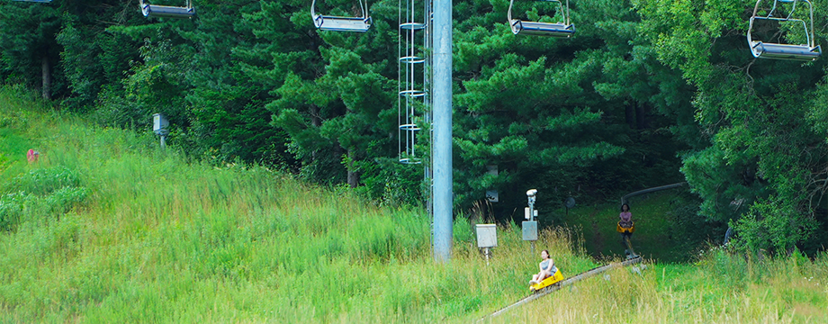 Image of Mountain Coaster