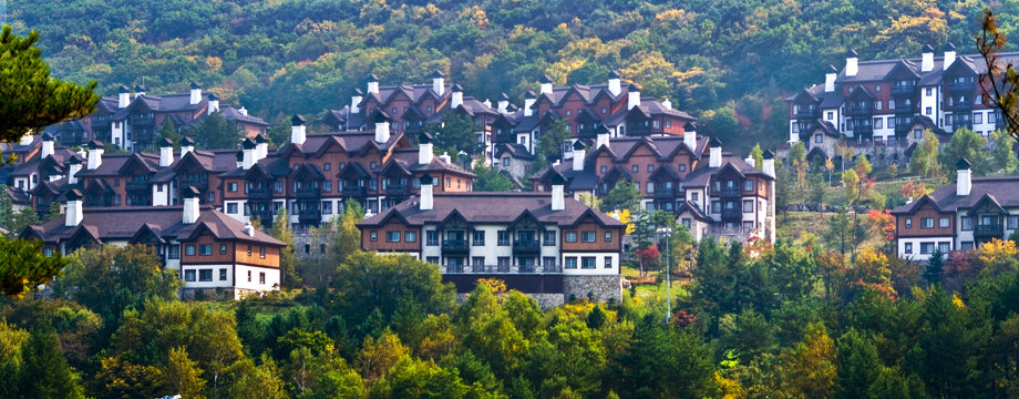 Image of BirchHill Condominium View