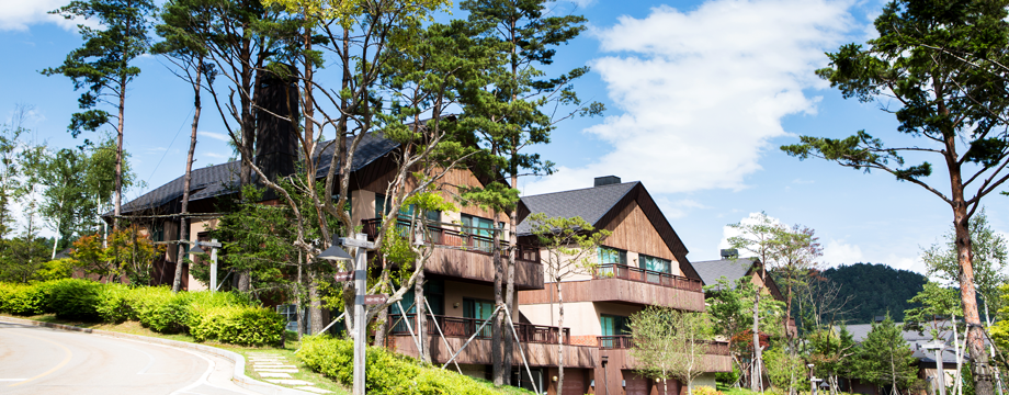 Image of Forest Condominium View