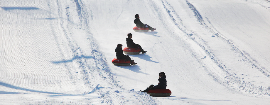 Image of Winter Sledding Slope