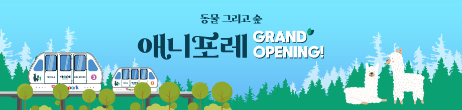 OPEN! 발왕산 알파카 팜 : 동물농장 '알파카 alpaca'체험 & 골드슬로프 '꽃길' 페스티벌