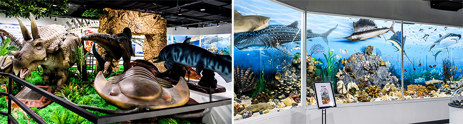 Image of Dinosaur & Marine Exhibit Hall