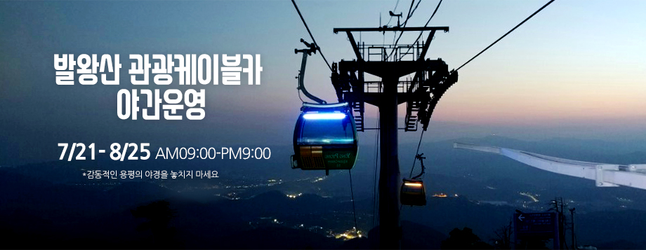 관광곤돌라 전경