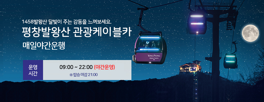 관광곤돌라 전경