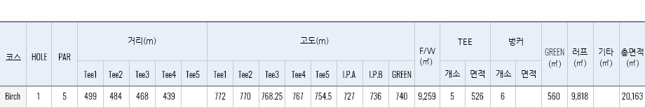 버치힐 h1 재원표