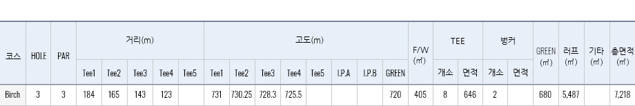 버치힐 h3 재원표