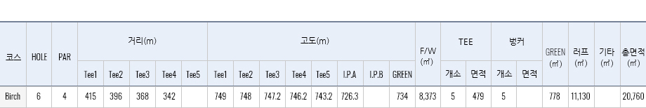 버치힐 h6 재원표