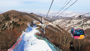 용평곤돌라 이미지