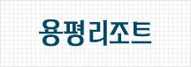 용평리조트 CI 용평 한글서체 이미지