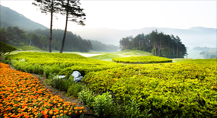 버치힐컨트리클럽 전경