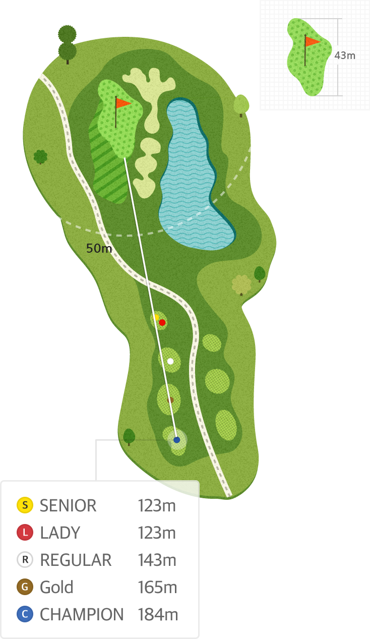 버치 Hole3 홀까지의 거리 정보 지도