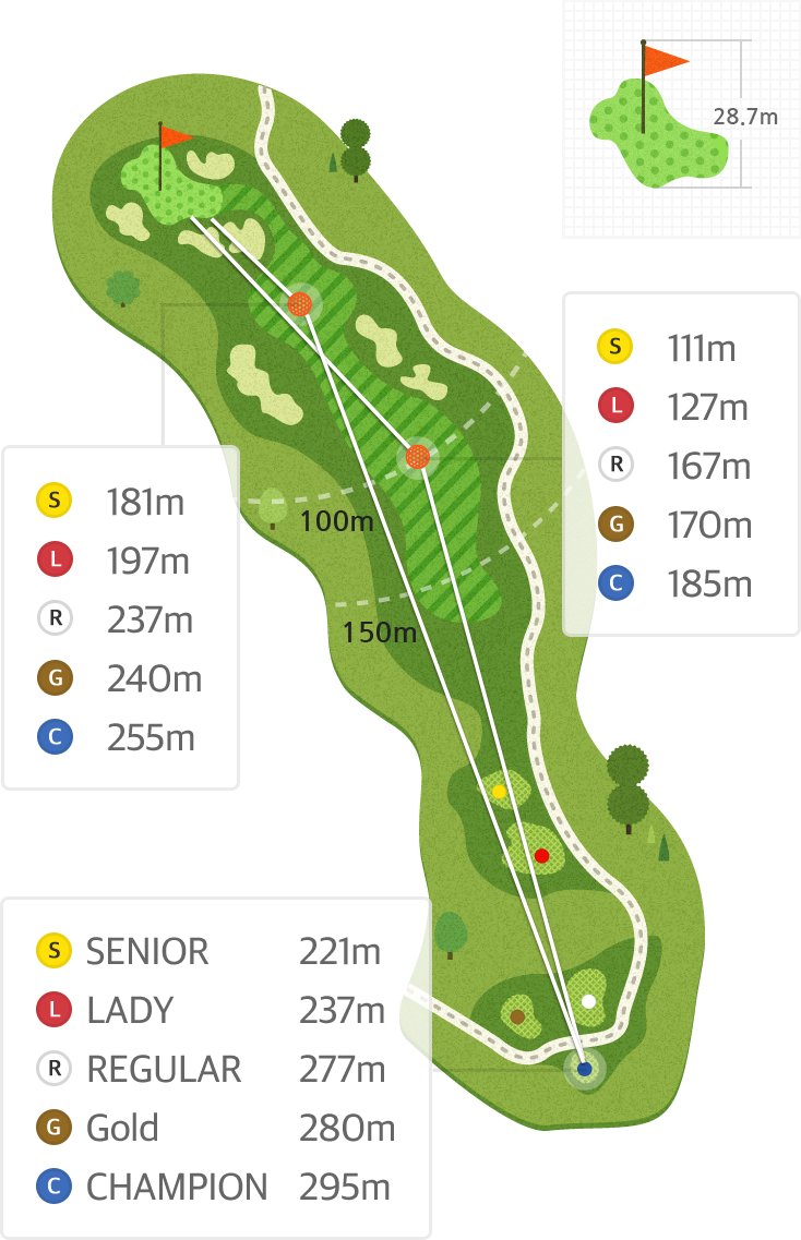 버치 Hole4 홀까지의 거리 정보 지도