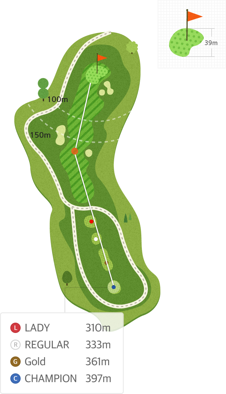 강나루 Hole8 홀까지의 거리 정보 지도