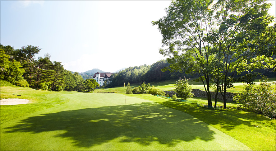 용평9 골프코스 전경