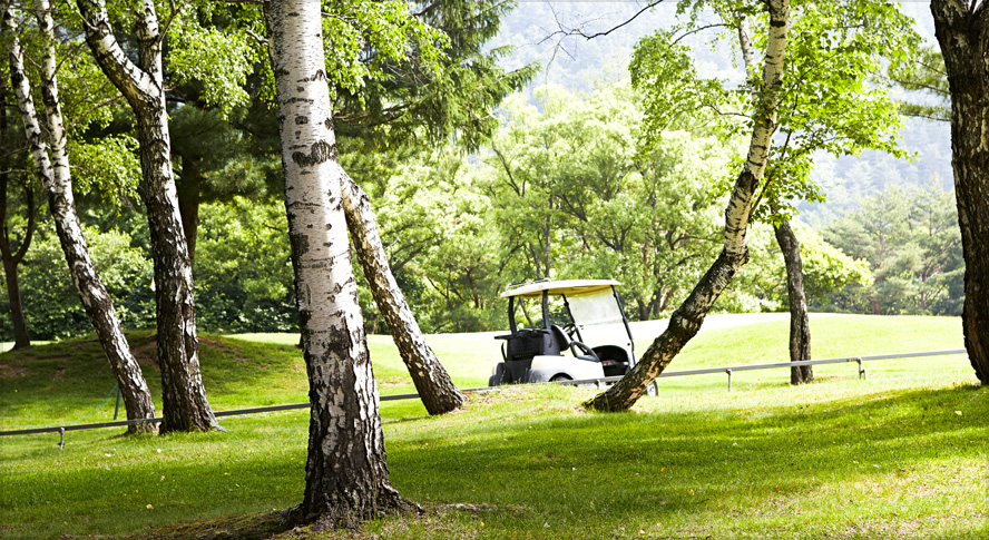 용평9 골프코스 전경