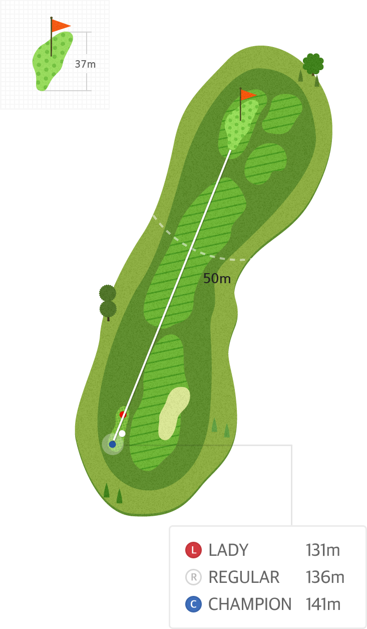 용평9 Hole3 홀까지의 거리 정보 지도