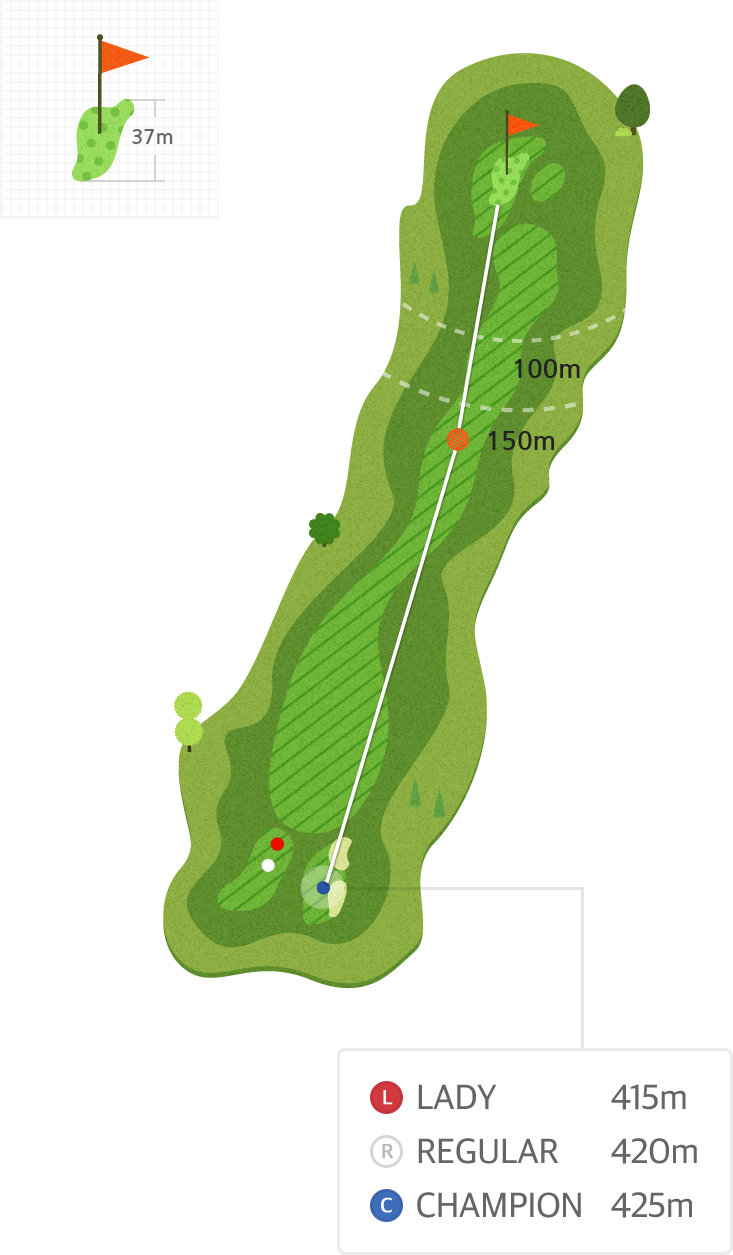 용평9 Hole4 홀까지의 거리 정보 지도