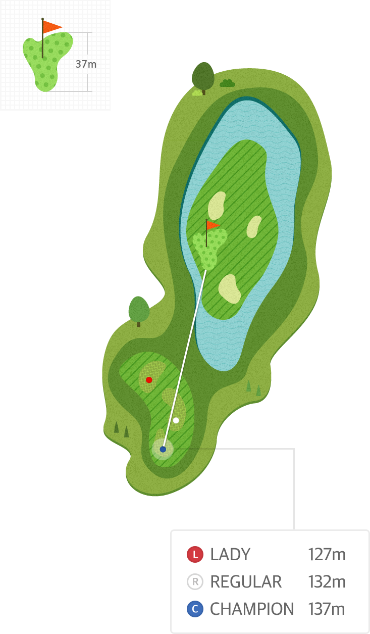 용평9 Hole8 홀까지의 거리 정보 지도