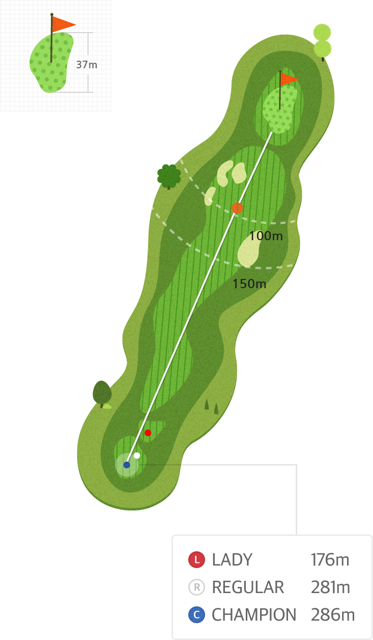 용평9 Hole9 홀까지의 거리 정보 지도