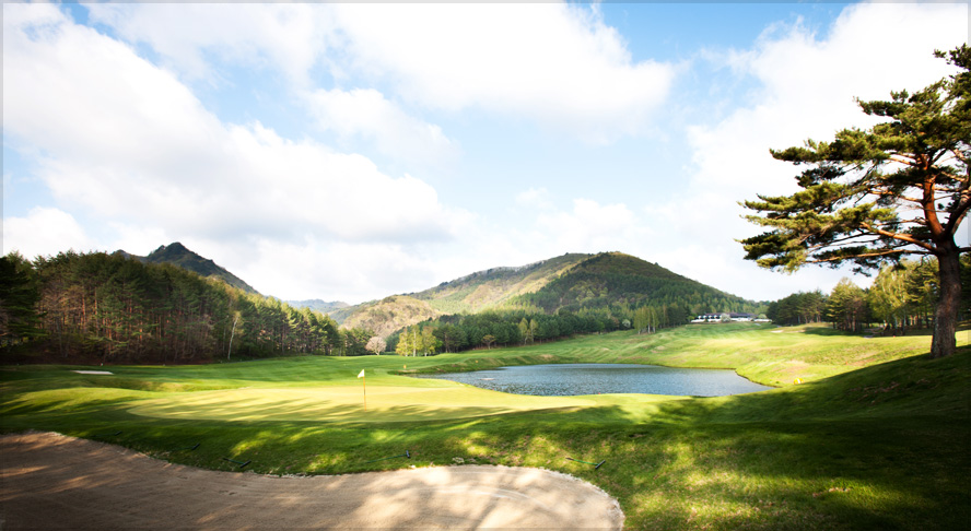 용평골프 전경