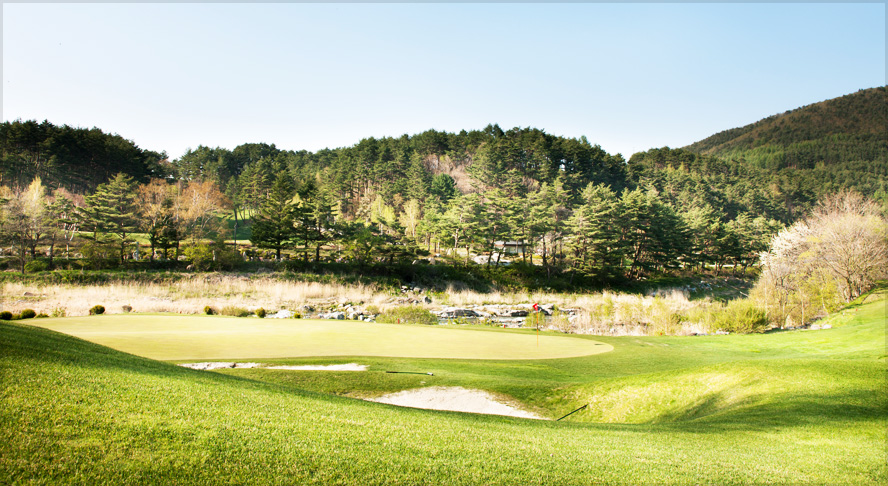 용평골프 전경